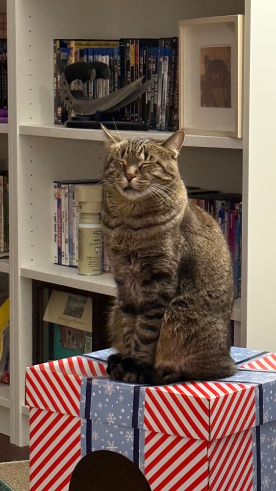 Milo falling asleep sitting up 