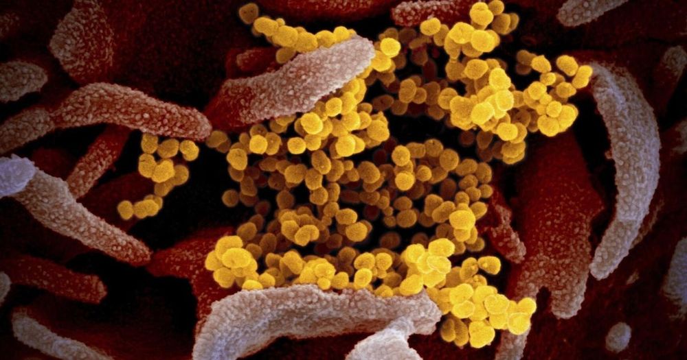 Long COVID affects millions of Canadians and can carry disparate and sometimes debilitating symptoms. Here’s what we know about the condition so far.