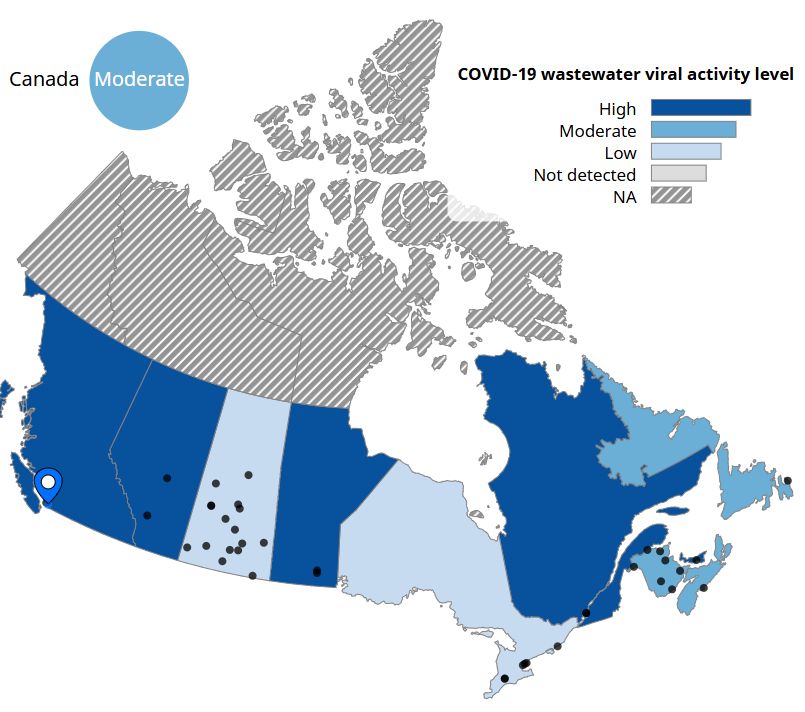 Map showing SARS-CoV-2 wastewater levels by province. Overall, it is considered "moderate", with higher levels in BC, Alberta, Manitoba, Quebec, New Brunswick, and PEI.