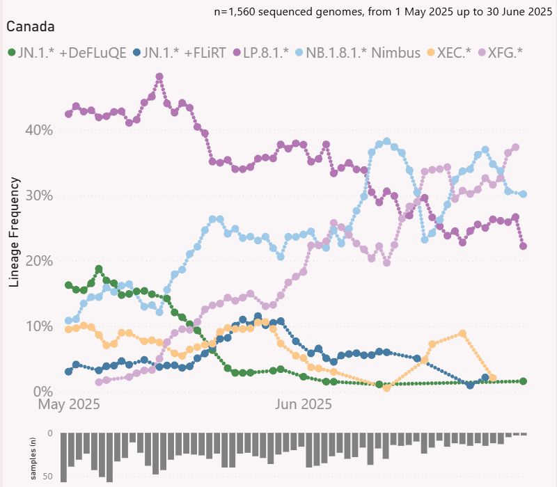 Graph of variant frequencies in Canada using the visualization tool by Mike Honey. Nimbus and Stratus are dominant in Canada and LP.8.1 continues to decline.