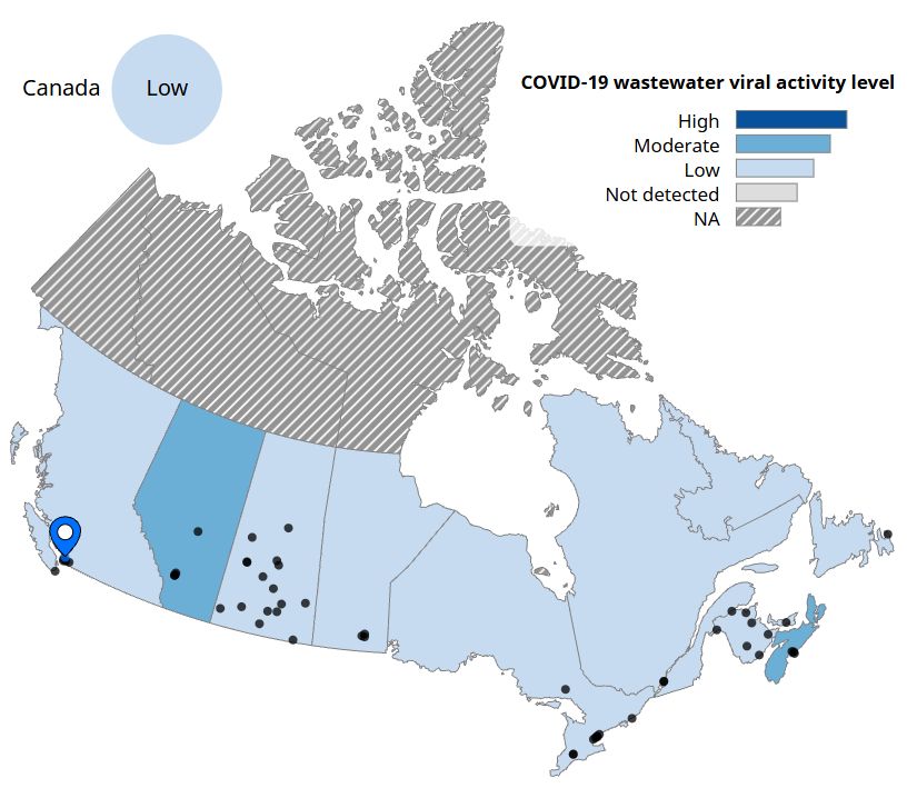 Map of Canada showing national wastewater viral activity levels currently listed as "Low" in most provinces, but "Moderate" in Alberta and Nova Scotia.