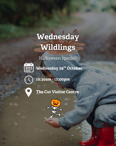 Wednesday Wildlings: Halloween Special! Wednesday 29th October. 10:30am - 12:00pm. The Cut Visitor Centre.