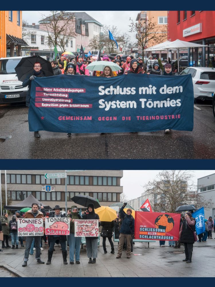 Zu sehen sind zwei Bilder von der Großdemo in Waldkraiburg. Das obere zeigt den Demozug frontal mit einem großen Banner, wie er durch die Innenstadt von Waldkraiburg zieht. Auf dem Banner steht groß: "Schluss mit dem System Tönnies", klein daneben aufgelistet: " Miese Arbeitsbedingungen, Tierausbeutung, Umweltzerstörung, Repression gegen Kritiker*innen" unten steht "Gemeinsam gegen die Tierindustrie". Das untere Bild zeigt einen Ausschnitt der Anfangskundgebung. Zu sehen sind mehrere Menschen mit Plakaten gegen Tönnies und Tierausbeutung, sowie eine Fahne für die Schließung aller Schlachthäuser.