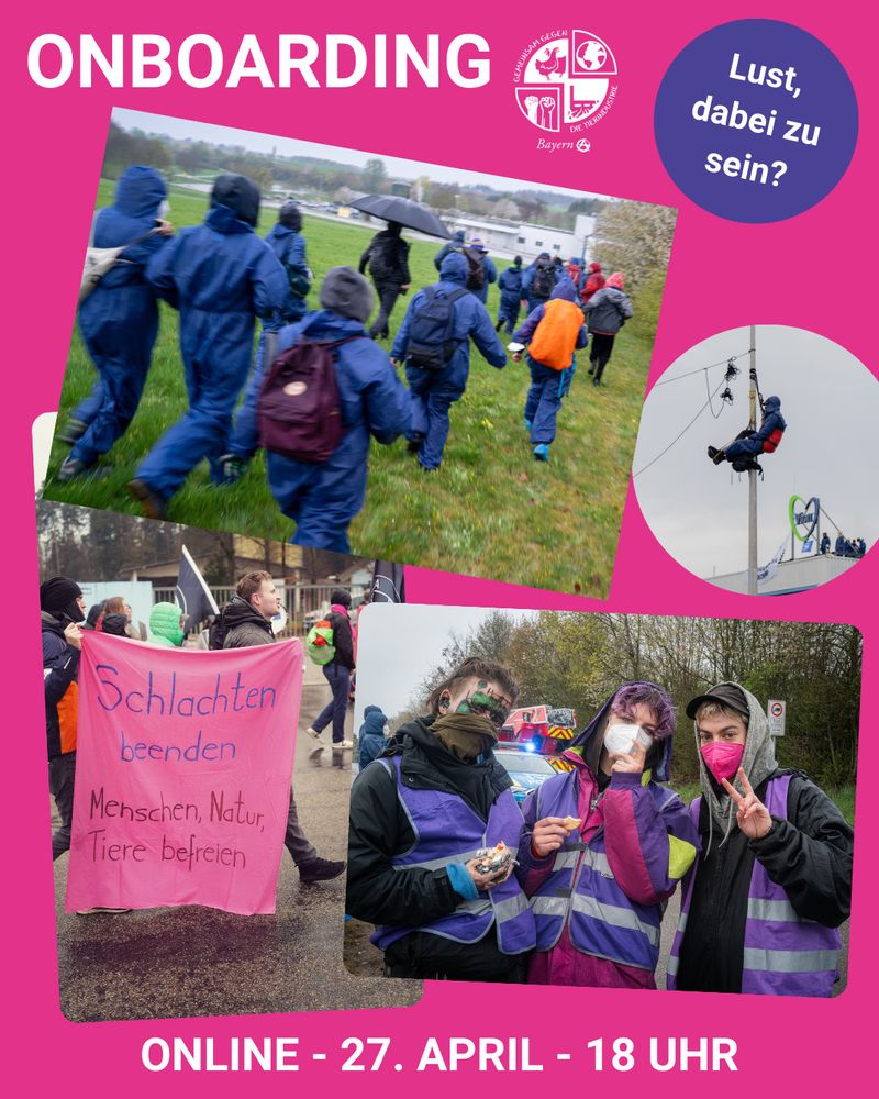 Oben steht "Onboarding" als Überschrift, daneben ist das Logo von GgdT Bayern abgebildet. Rechts daneben steht in einem lila Kreis: Lust dabei zu sein? Darunter sind Bilder von Aktionen abgebildet und der Hintergrund ist rosa.