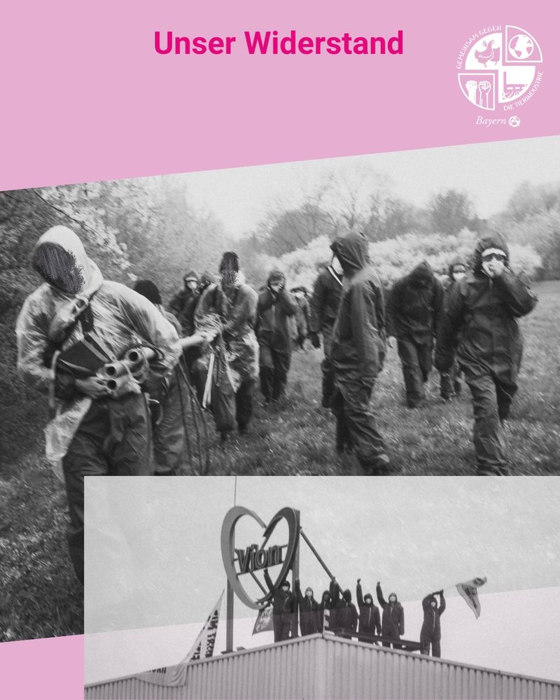 Das Bild zeigt ein Plakat mit rosa Hintergrund.

Ganz oben steht:
"Unser Widerstand"

Rechts daneben in weiß ist das Logo der Organisation "Gemeinsam gegen die Tierindustrie" abgebildet, darunter steht "Bayern" und ein großes A in einem Kreis.

Darunter ist leicht geneigt ein Schwarz-Weiß-Bild von etwa 20 Aktivist*innen in dunklen Kapuzenoveralls, die Stangen über eine Waldlichtung tragen.

Ganz unten sieht man ein Schwarz-Weiß-Bild auf dem 7 Aktivist*innen in Kapuzenoveralls auf einem Fabrikdach stehen, man sieht ein Banner und eine Fahne. Sie stehen neben einem großen Firmenemblem mit der Aufschrift "Vion".