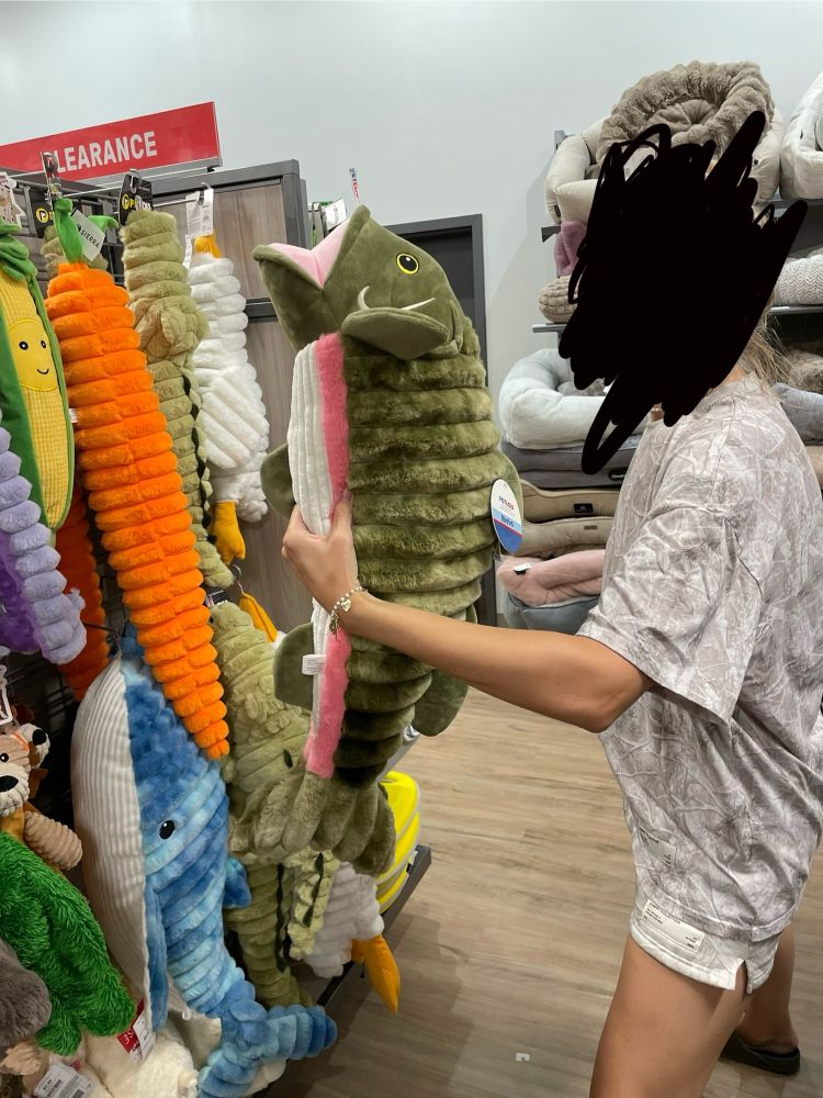 A massive dog toy being held by a person whose face is scribbled out with black. The toy is shaped like a fish, somewhat resembling a rainbow trout in color, with its mouth open. It appears to reach from around the person's head to their waist.
