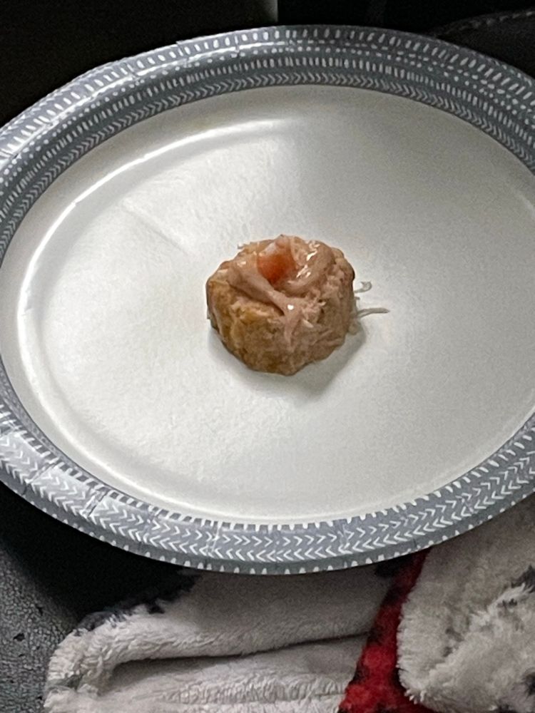 A small cake made of meat in the center of a plate. There is a little bit of a liquidy substance on top and a small piece if shrimp tail sticking up