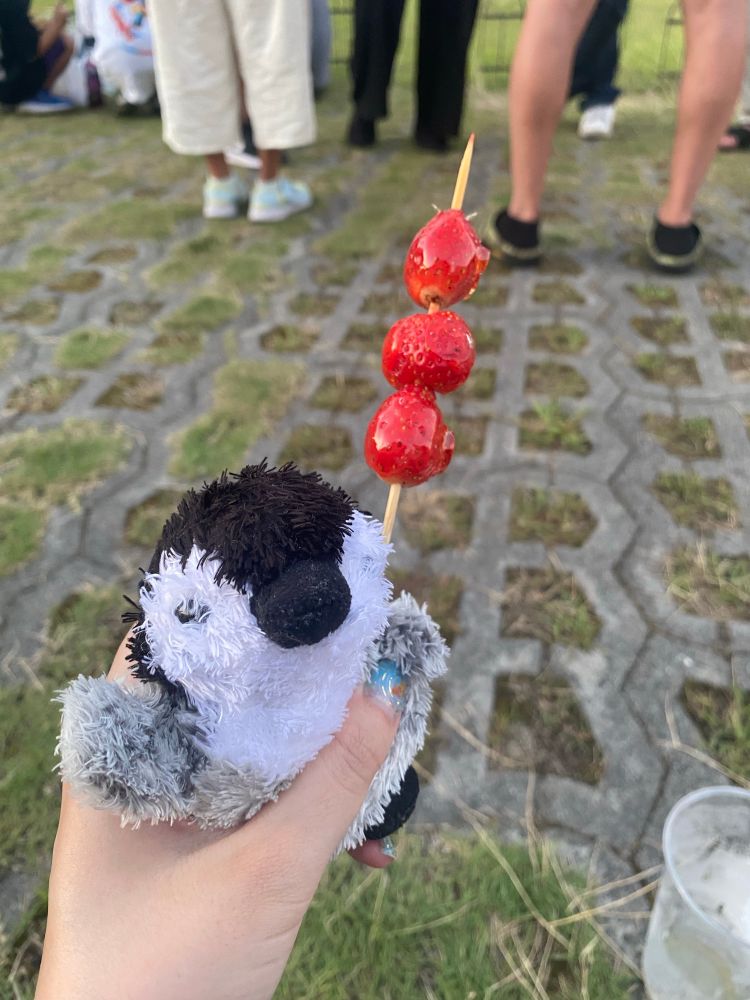 いちご飴とぬいぐるみ