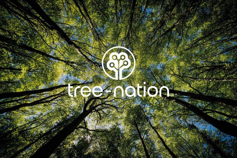 tree nation logo in a forest of trees