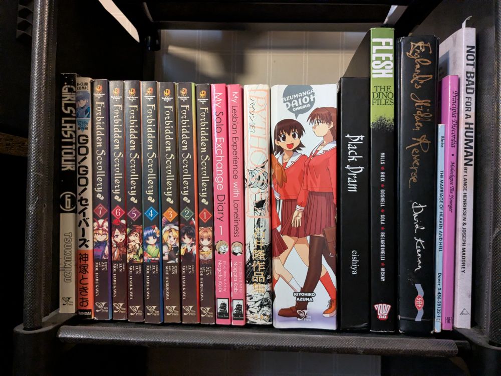 small shelf with 19 books. Girls' Last Tour vol 6, a japanese Bubblegum Crisis manga, Forbidden Scrollery 1-7, My Solo Exchange Diary and My Lesbian Experience with Loneliness. Takashi Ishii's Python 357 in japanese, Black Dram by eishya, Flesh: The Dino Files, England's Hidden Reverse, The Marriage of Heaven and Hell, Principia Discordia and Lance Henriksen's autobiography Not Bad for a Human