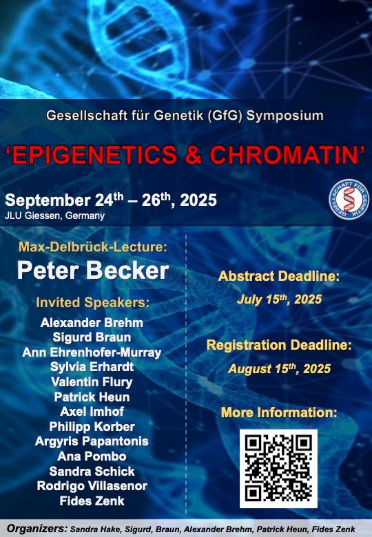 Poster announcing the symposium of the German society of Genetics in 2025 on epigenetics and chromatin. Abstract deadline July 15th. 