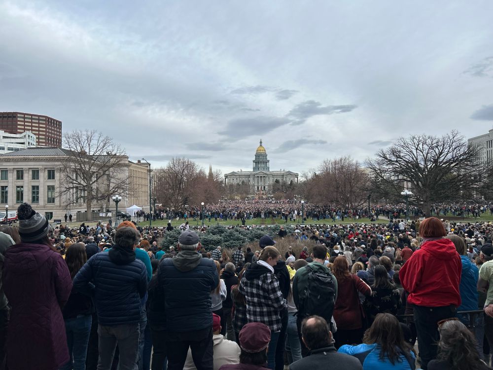 Large crowd gathered in Civic Center Park in Denver, CO. 