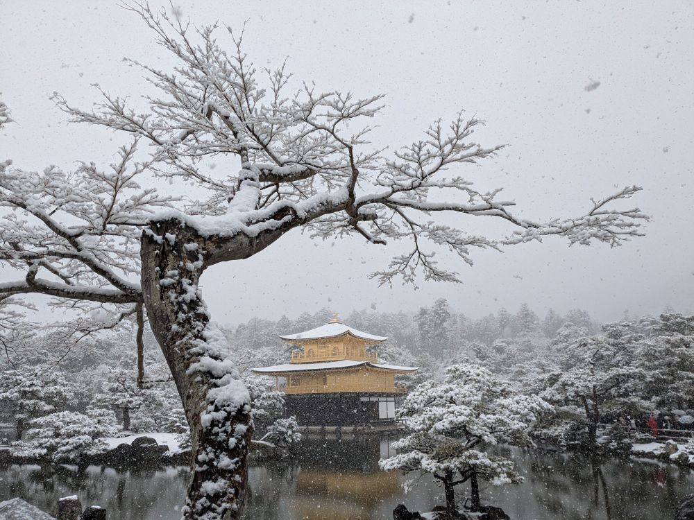 Kinkaku-ji in the Kyoto snow.