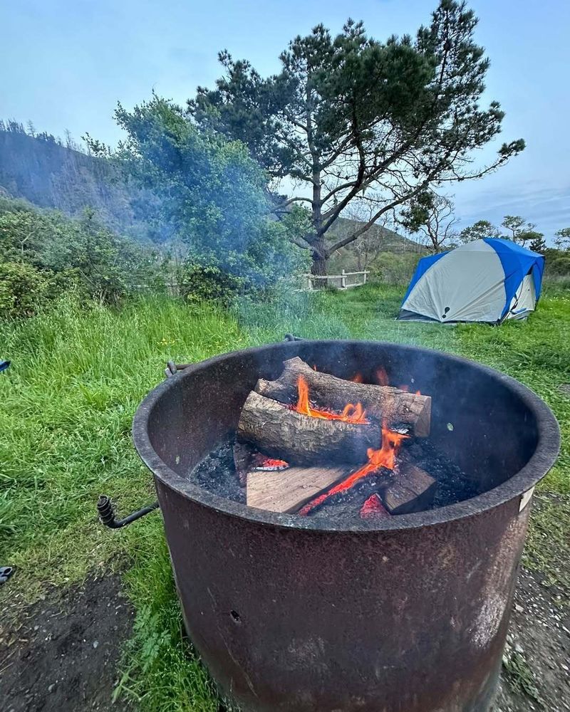 A fire pit and a small tent set up next to a tree