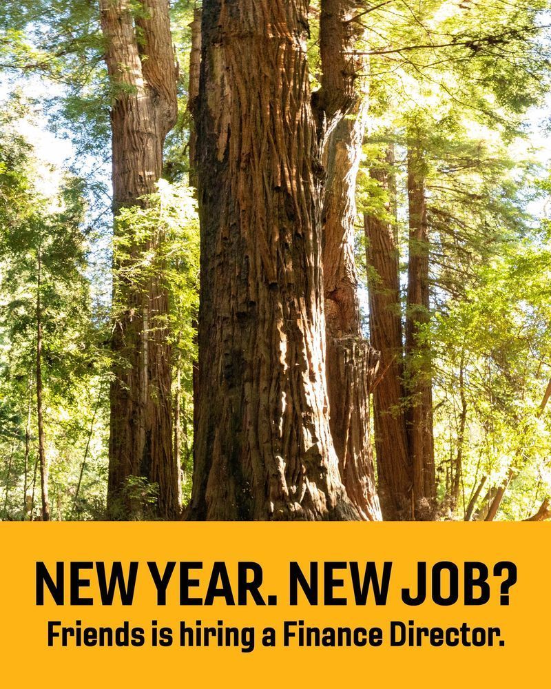 New Year. New Job? Friends is hiring a Finance Director