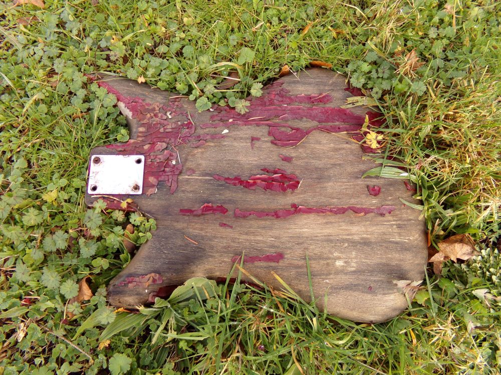 A weathered guitar body, missing its neck, lies face down in grass and clover.  Almost all of the dark red paint has peeled away, leaving bare wet wood exposed.