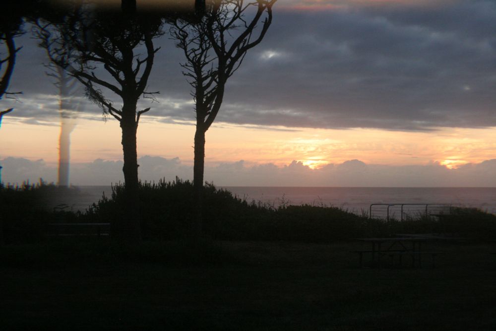 The setting sun peaks between two cloud banks, sillouetting two trees in the foreground.  There is refraction caused by a physical filter on the camera, making there appear to to be two suns and an extra ghostly tree.