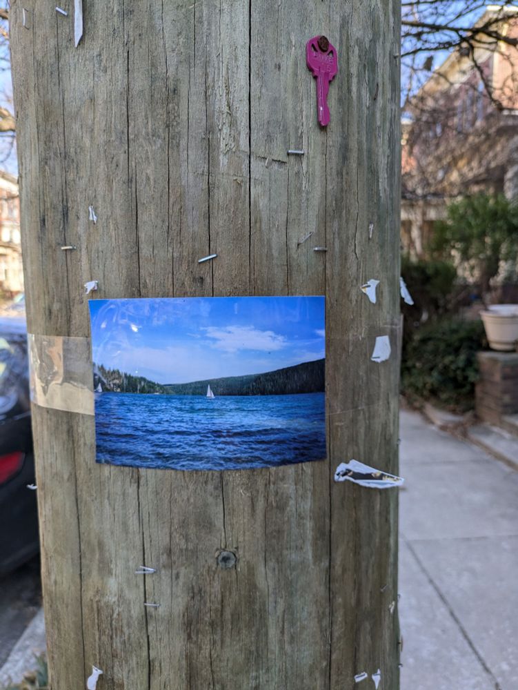 A photograph of a white sailboat in the middle of a big blue lake is taped to a telephone pole with clear packing tape