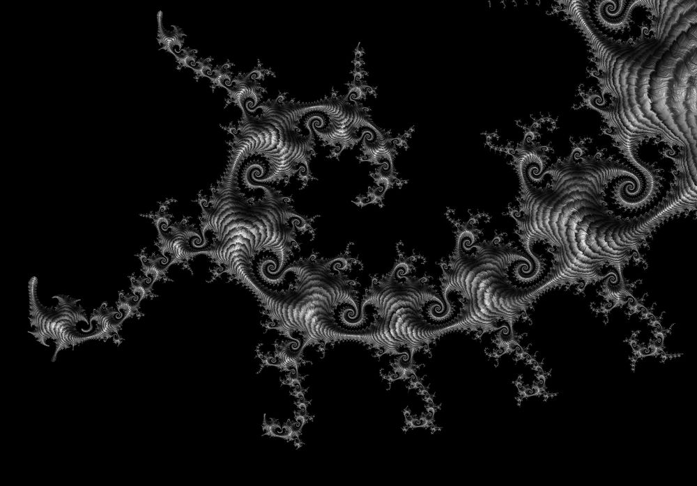 A black and white striped fractal frond