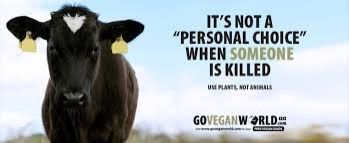 There is a picture if a cow looking dad with two ear tags in. The caption reads: 'Its not a personal choice when someone is killed. Use plants. Not animals.'