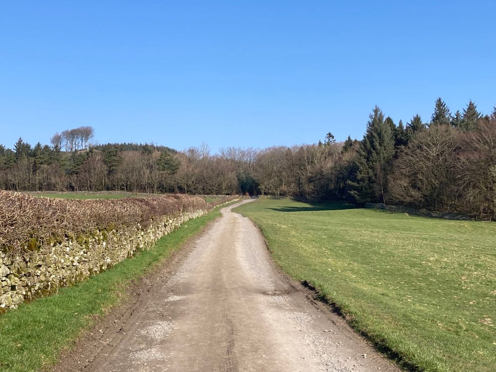 View of a countryside lane heading towards forested hillside under a clear blue sky.