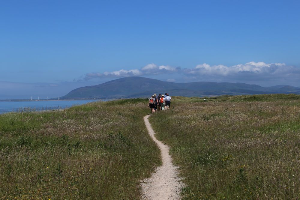 A group of walkers head along a footpath in a clifftop meadow on Walney Island in Cumbria, under a blue sky, with sea to the left and the large dome of Black Combe hill up ahead.