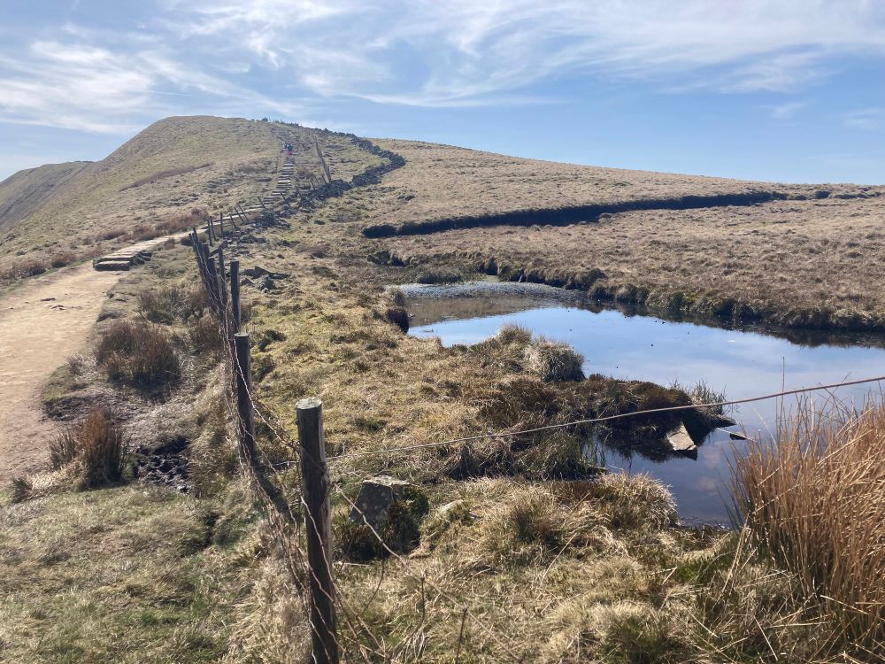 View of the pond just over a fence with the summit of the hill behind.