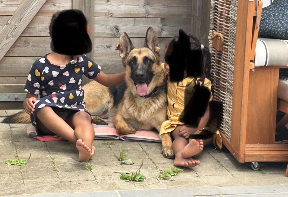Deutsche Schäferhündin mit rausgestreckter Zunge auf einer rosa Matte zwischen zwei kindern (Gesichter geschwärzt) rechts die Ecke eines Strandkorbs, im Hintergrund ein Holztor