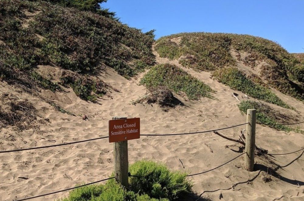 Keep Fort Funston Open to Recreation — SFDOG