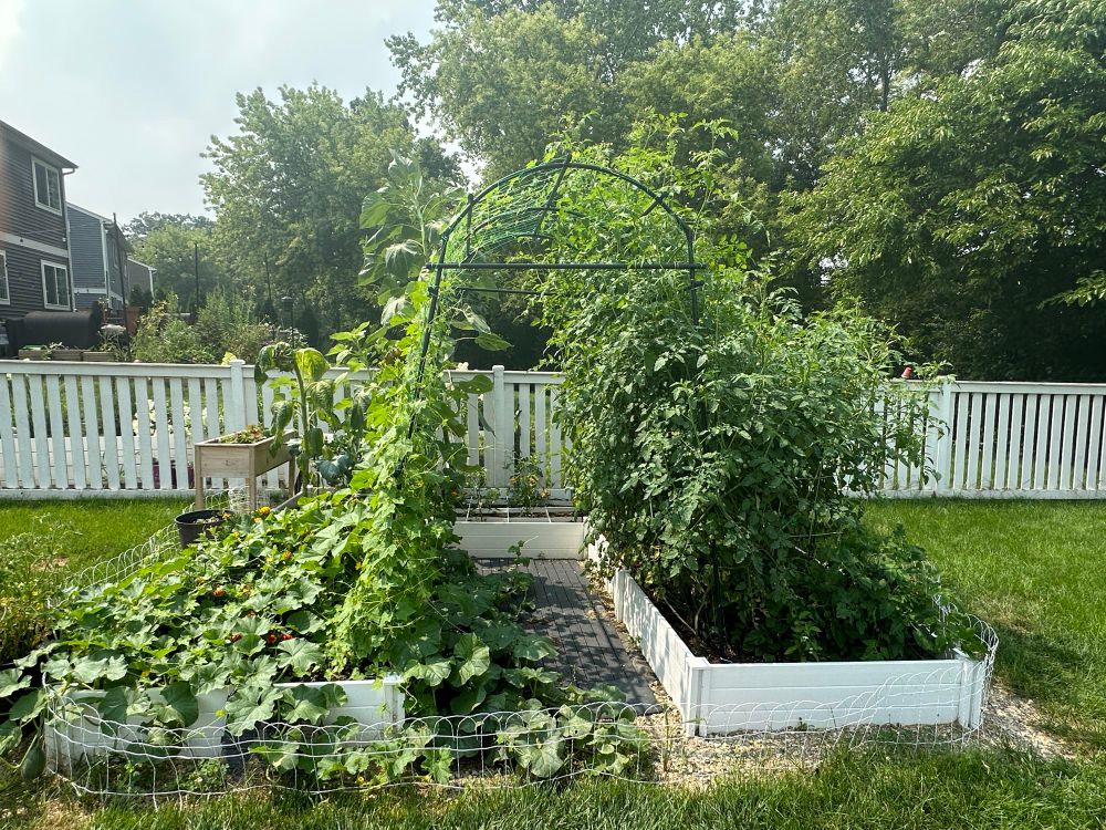 The current state of the overall garden compared to months back. 