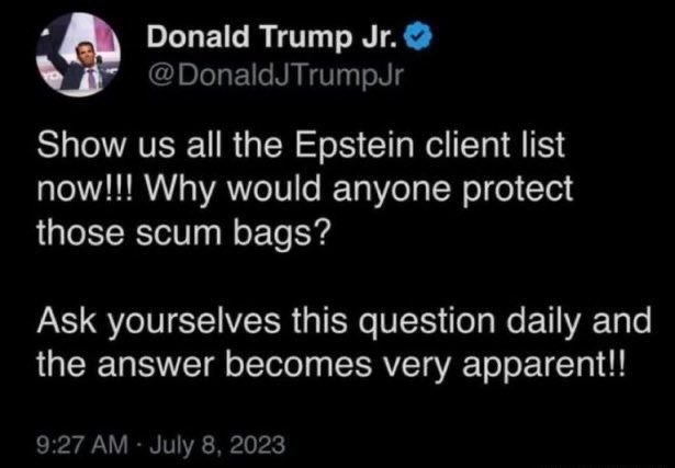Donald Trump Jr.
Show us all the Epstein client list now!!! Why would anyone protect those scum bags? Ask yourselves this question daily and the answer becomes very apparent!!