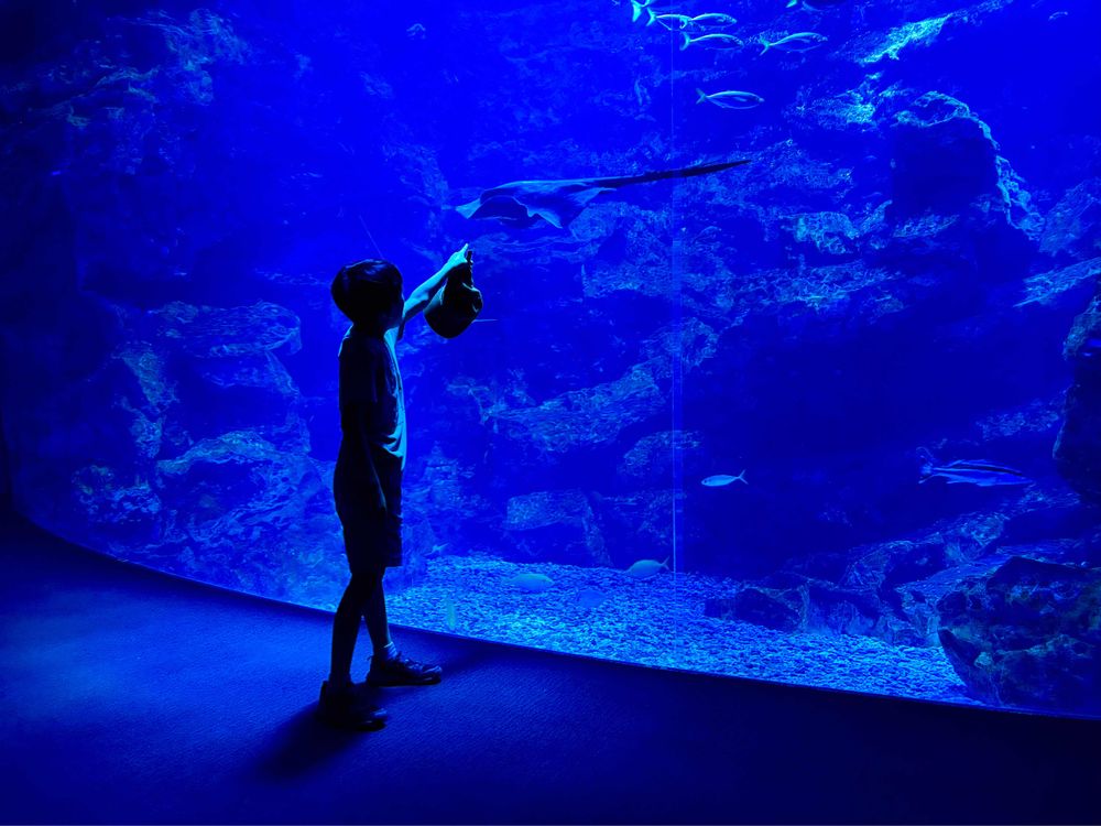 son pointing at a ray