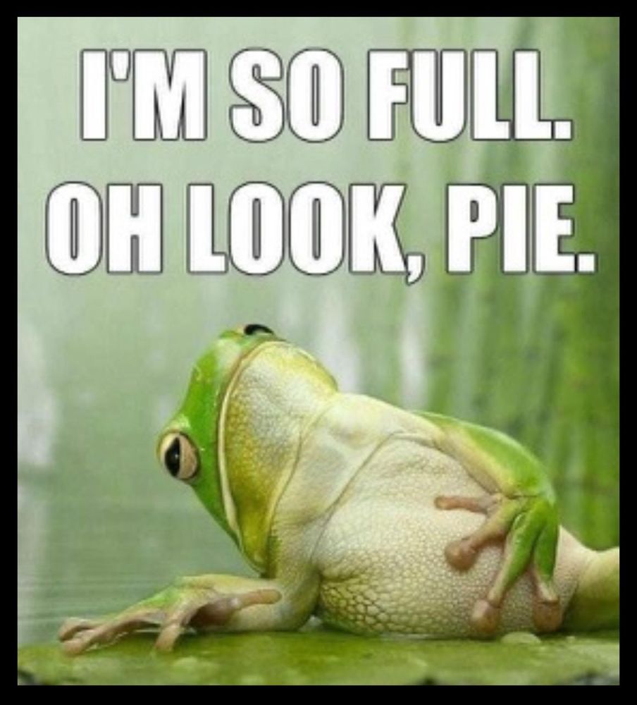 A photo of a green frog kind of lying back with its belly out and one of its suction cup fingered hands is cradling its belly. Its slit shaped pupils makes it look like its eyes are half closed. Caption reads:
I’m so full.
Oh look, pie.