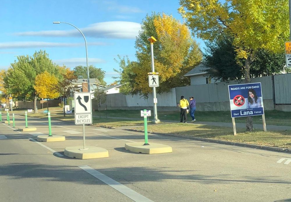 A road where half the paved surface is marked off for bike lanes using low concrete barriers and green flexiposts. On the boulevard strip next to the sidewalk is a large (3x3 foot?) sign that says:
ROADS ARE FOR CARS! 
Elect Lana Palmer
Ward Dene City Council