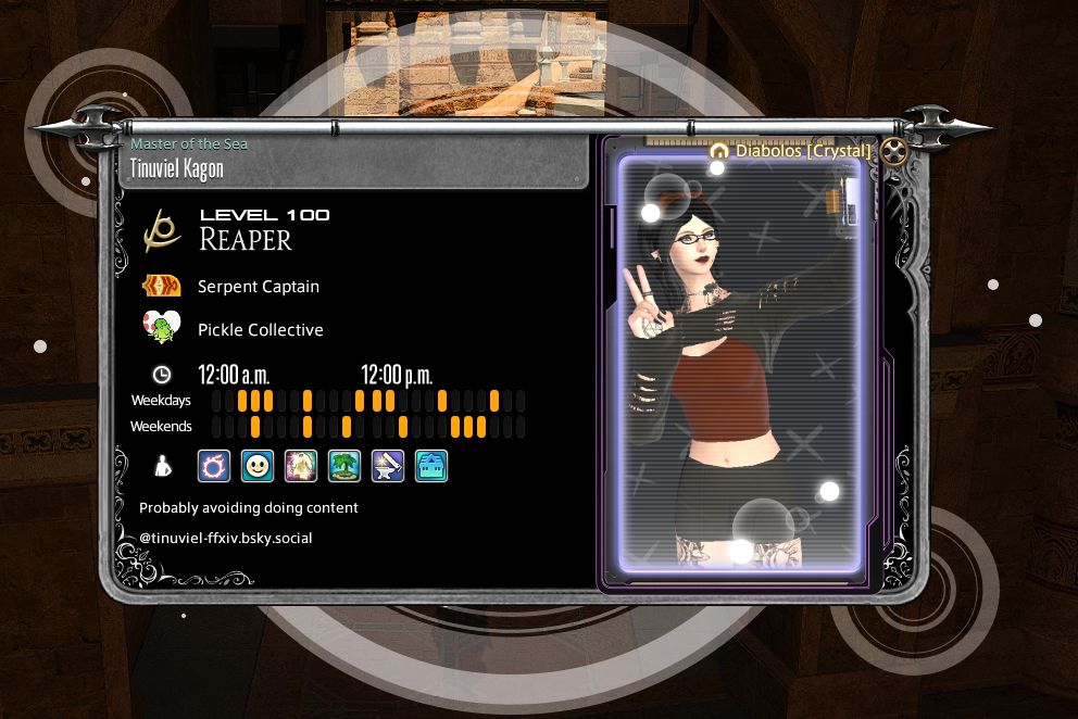 Tinuviel's Adventurer Plate.  It's mostly black and she's doing the selfie emote.  I have no set play time schedule so I just spelled out my nickname with the little marks.