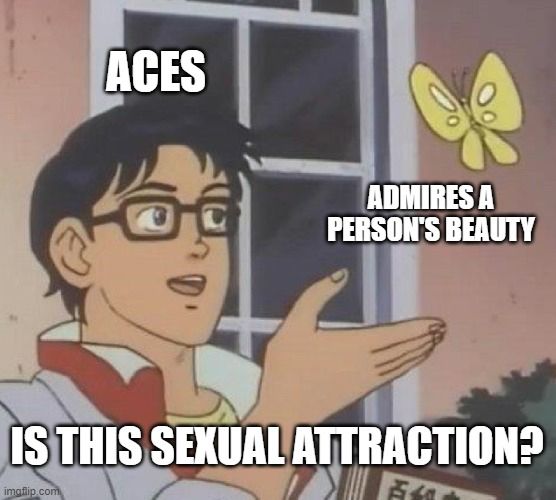 The “Is this ___?” meme where an anime dude gestures to a butterfly. The guy is labeled as “Aces” the butterfly is labeled as “Admires a person’s beauty” and the question is “Is this sexual attraction?”