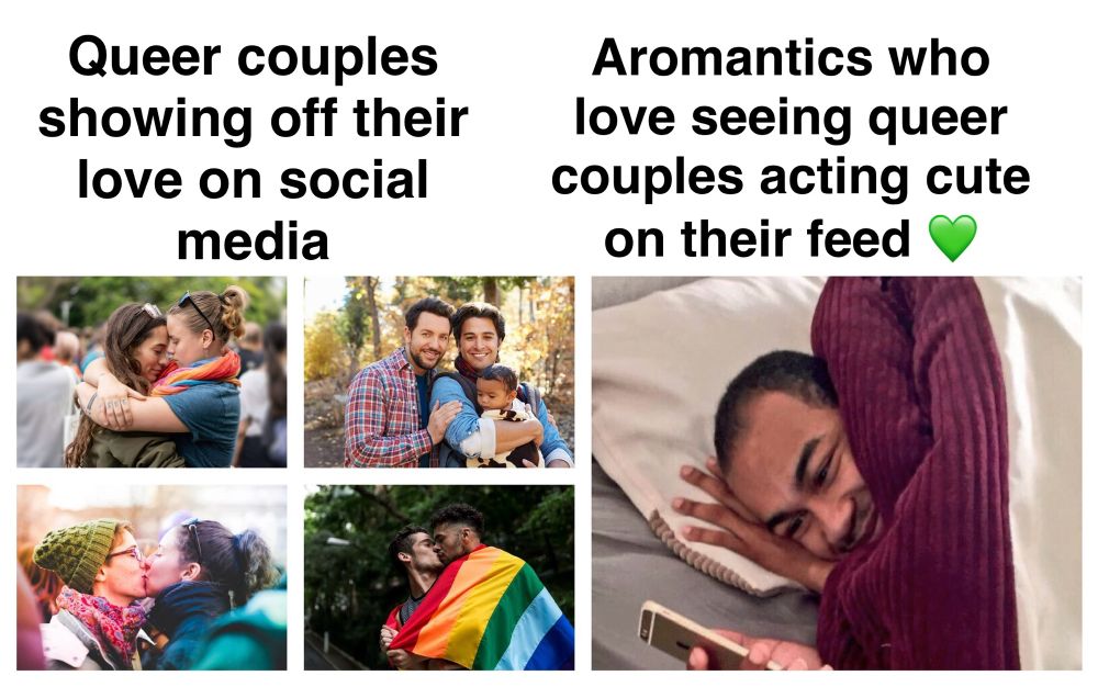 A meme representing aromantics who love seeing love. It’s showing four photos of queer couples/families being happy right next to the photo meme of a guy lying under the covers, looking happy as he watches something on his phone. The four photos of the couples/families are labeled “Queer couples showing off their love on social media” and the guy looking at his phone is labeled “Aromantics who love seeing queer couples acting cute on their feed 💚”