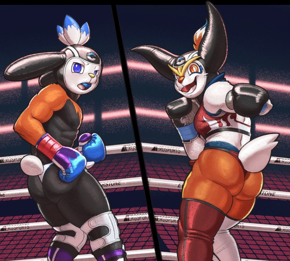 the same as previous, but with the official colors of raboot and cinderace. Jay's body is primarily black, with orange colored arms. his thong and knee braces are white instead for better contrast. Cindy's legs are now primarily orange, with a yellow marking on either thigh, and a dark blue waist.