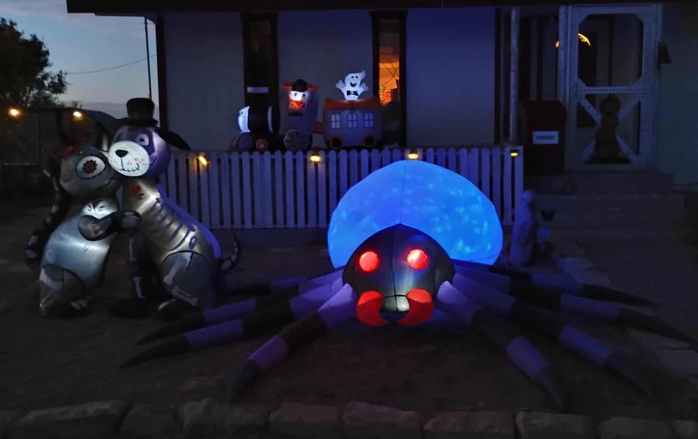 Halloween yard decor: a sugar skull/skeleton kitty and doggy, a ghost train and a giant spider that lights up from the inside in a snow globe pattern.