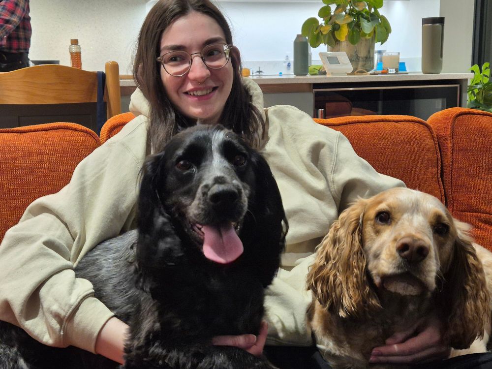 girl with brown hair and glasses with two spaniel dogs on her knee, one dog is black and white and the other is ginger, all sat on an orange couch