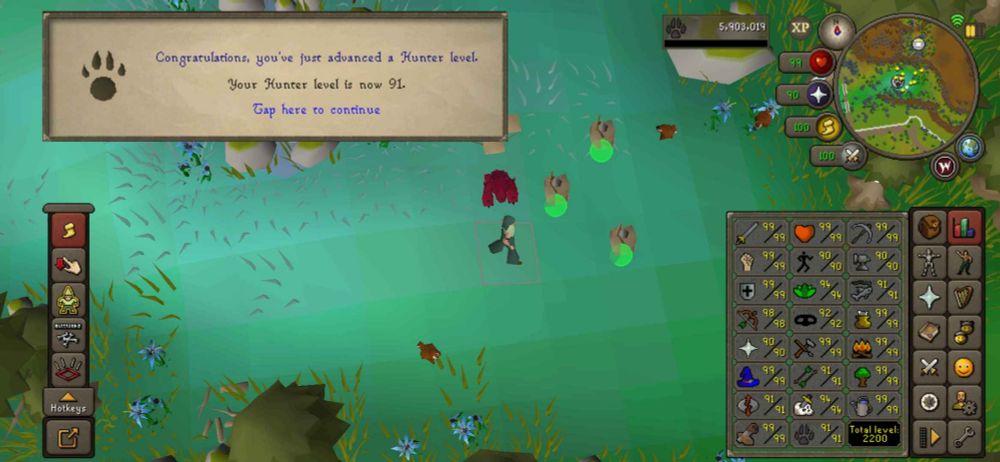 91 hunter level getting 2.2k total on osrs account gremllen, at the red chincompas at priffdinas on mobile client