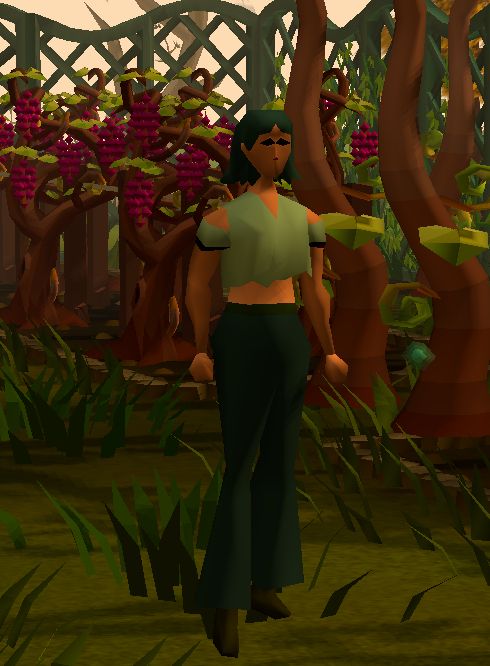 old school runescape character in hosidius vineyard