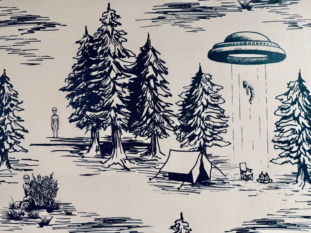 Wallpaper with trees, and a camp site with a UFO abducting a camper. There are aliens looking at the scene. 