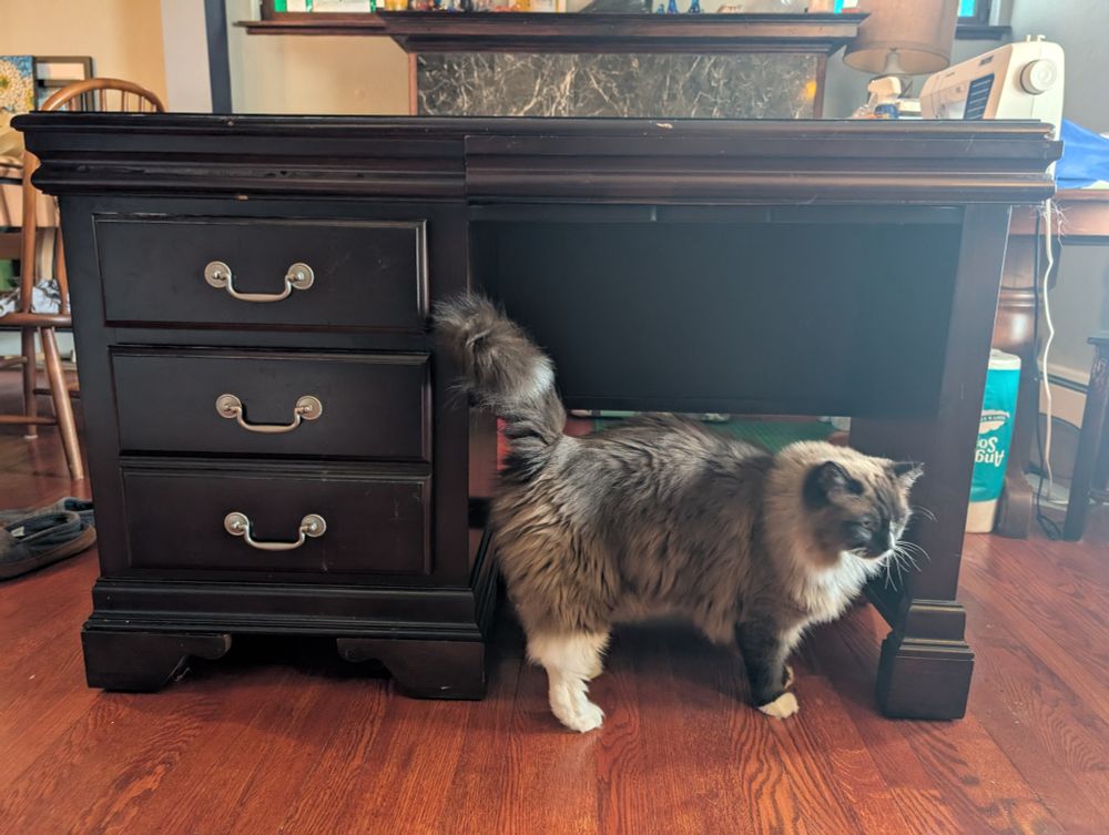 Large brown desk with three drawers and cat in front 