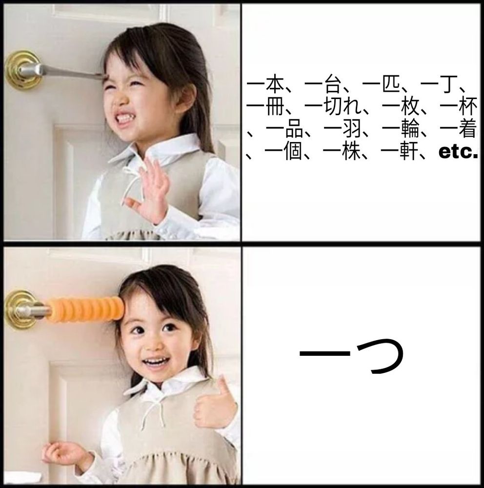 meme. A girl hits her head against a door handle. Next to her is a panel that says:

一本、一台、一匹、一丁、 一冊、一切れ、一枚、一杯 、一品、一羽、一輪、一着 、一個、一株、一軒、etc.

A picture of the same girl and door handle but now a safety feature has been attached to prevent her from hitting her head. She's happy and sticks up her thumb. Next to her is a big 一つ