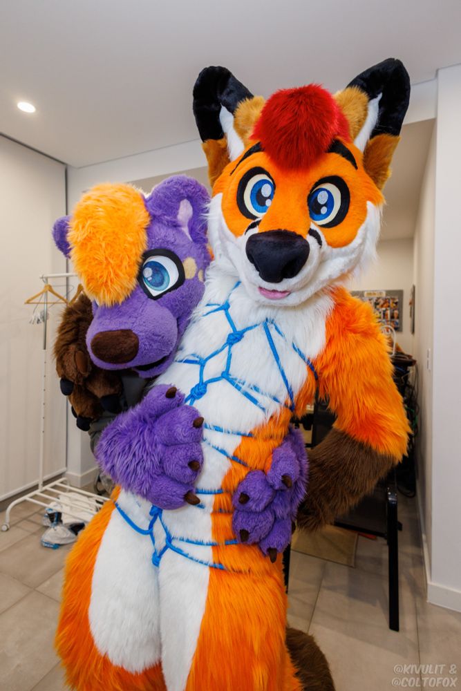 Colto Fox (orange, white, brown and red fox fursuiter) standing in full fursuit whilst wrapped up in blue rope Shibari.

TripleDot (Purple and Orange Otter-Husky fursuiter) is hugging Colto from behind, wrapped around his belly.