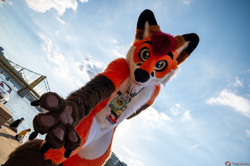 Colto Fox (orange, white, brown and red fox fursuiter) standing in full fursuit with one paw behind his back and the other reaching out in front. He's standing in front of a bridge in Pittsburgh, PA. He's wearing convention badges and the sky is clear with a few clouds.