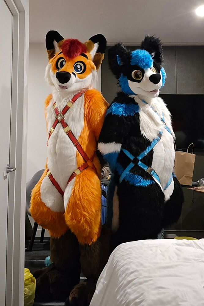 Colto Fox and ShadowRK9