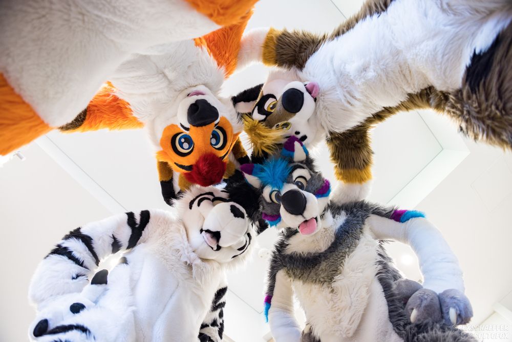 Four full fursuiters in a huddle, looming over the viewer. There's an orange fox, brown/white dingo, white/black tiger, grey/white husky.