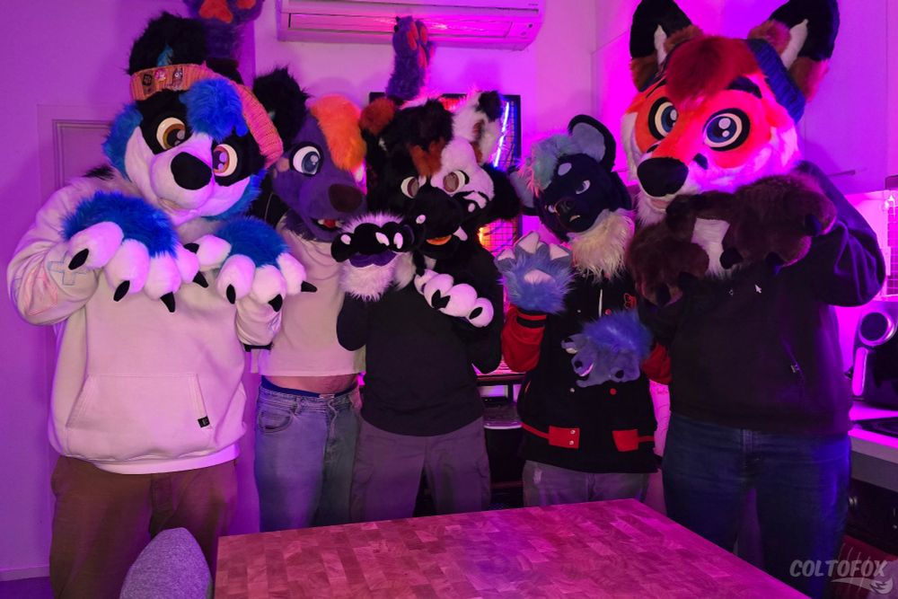 Photo of 5 fursuiters in partial fursuits. ShadowRK9, TripleDot Otter, Hauntly, TulusYeen, Colto Fox.

The room is lit with purple lighting.